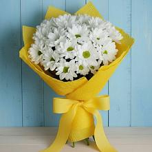 Букет цветов из:  Хризантемы в Камбулате