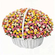 Премиум букет из: Розы в Камбулате