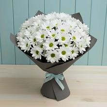 Букет цветов из:  Хризантемы #REPLACE_PRED# Камбулате