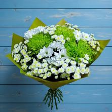 Букет цветов из:  Хризантемы в Камбулате