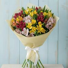 Букет цветов из:  Альстромерии в Камбулате