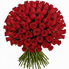Букет Красные розы Чери Лав в Камбулате