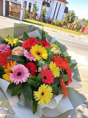 Букет цветов из: Герберы в Камбулате